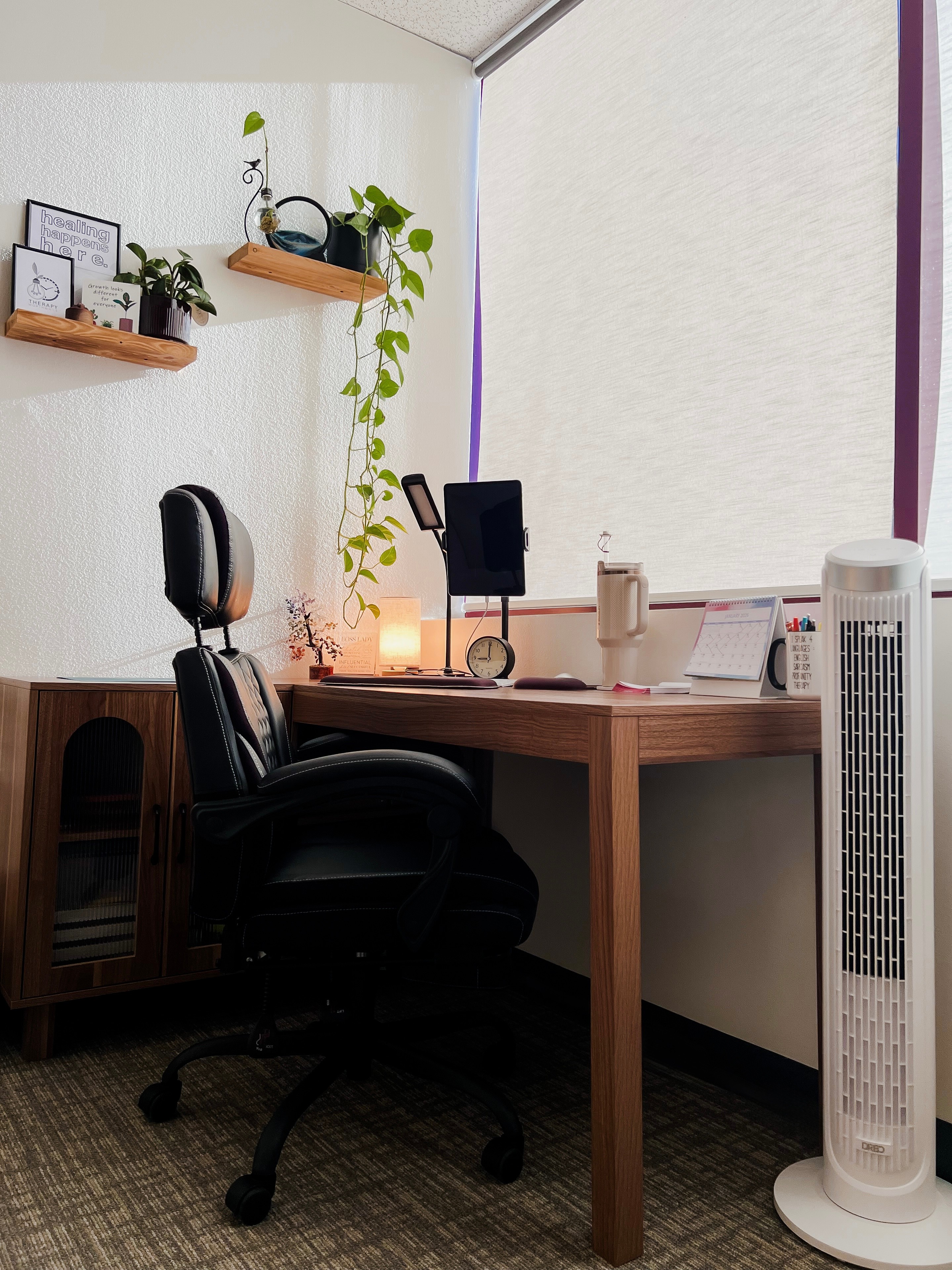 Home office with desk, chair, shelves, plants, and a window, illuminated by natural light.
